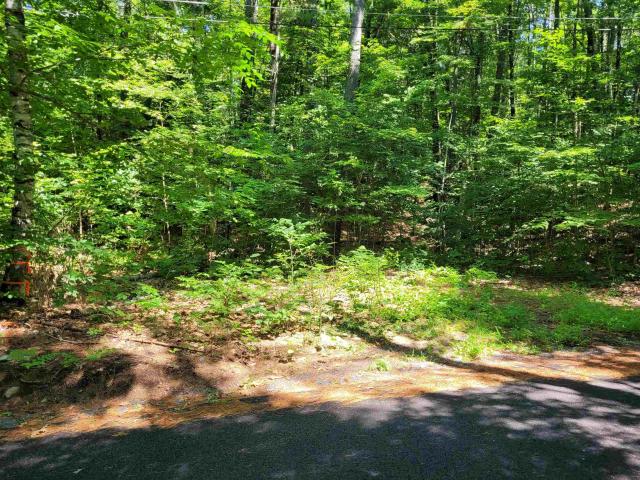 Land for sale in New Hampshire
