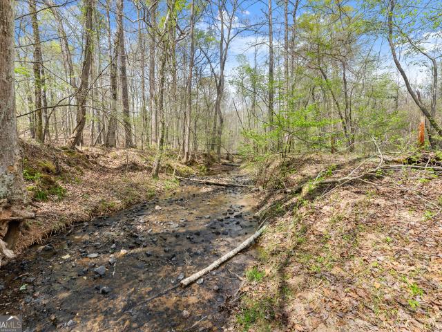 Land for sale in Banks, Georgia