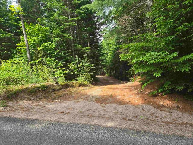Land for sale in New Hampshire