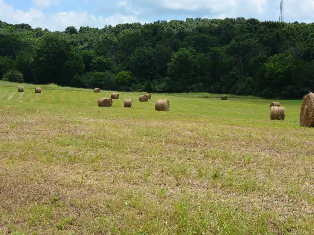 Commercial for sale in Tennessee