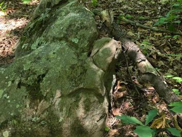 Land for sale in Virginia