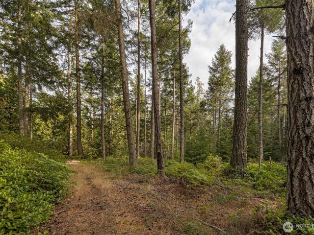 Land for sale in Friday Harbor, Washington