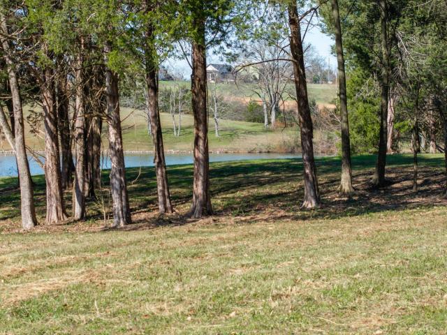 Land for sale in Tennessee