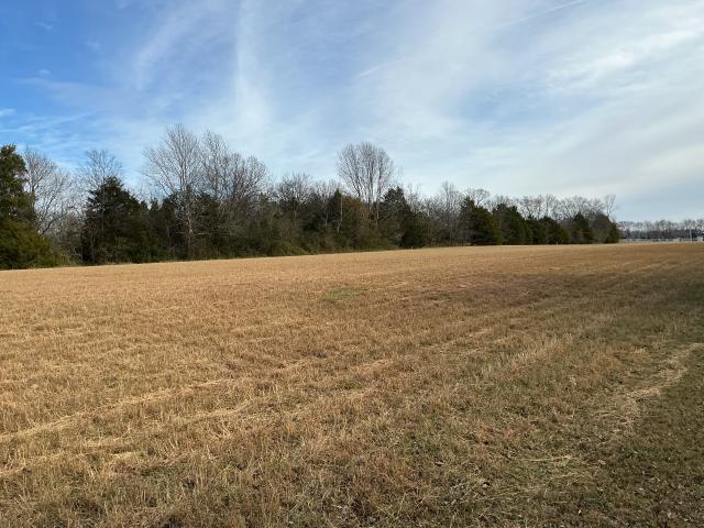 Land for sale in Tennessee