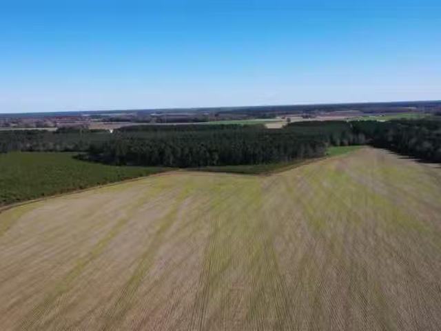 House for rent in Bay Minette, Alabama