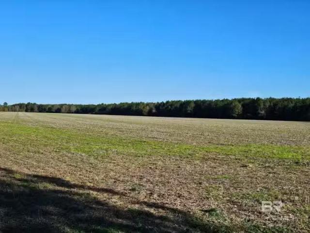 House for rent in Bay Minette, Alabama