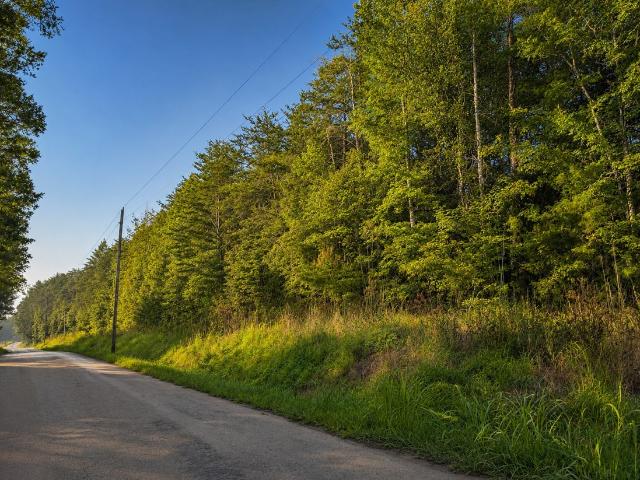 Land for sale in Acorn, Tellico Plains