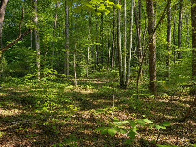 Land for sale in Tennessee