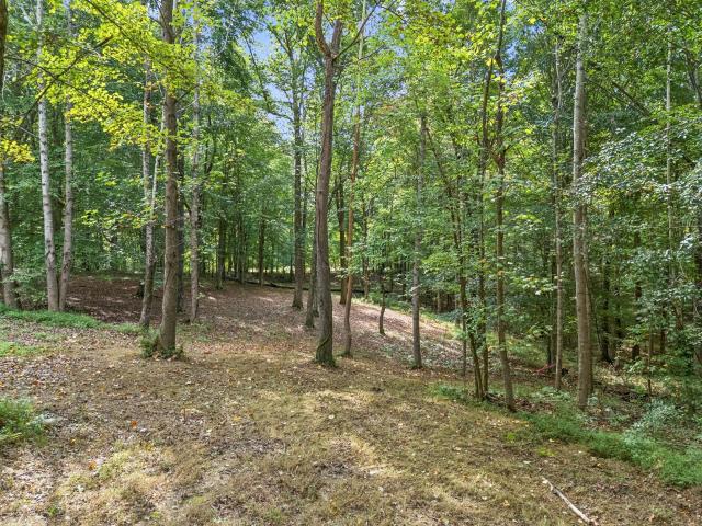 Land for sale in Middle Tennessee, Tennessee