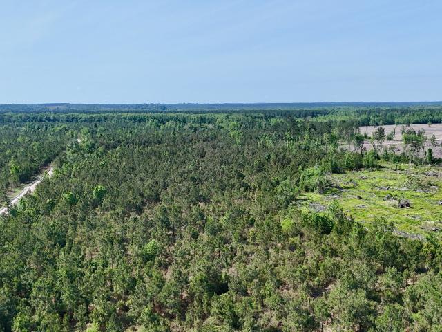 Land for sale in Lumber City, Georgia