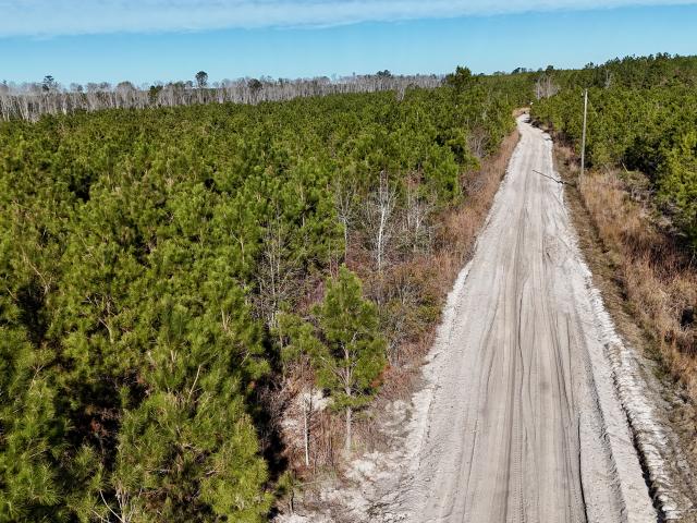 Land for sale in Lumber City, Georgia