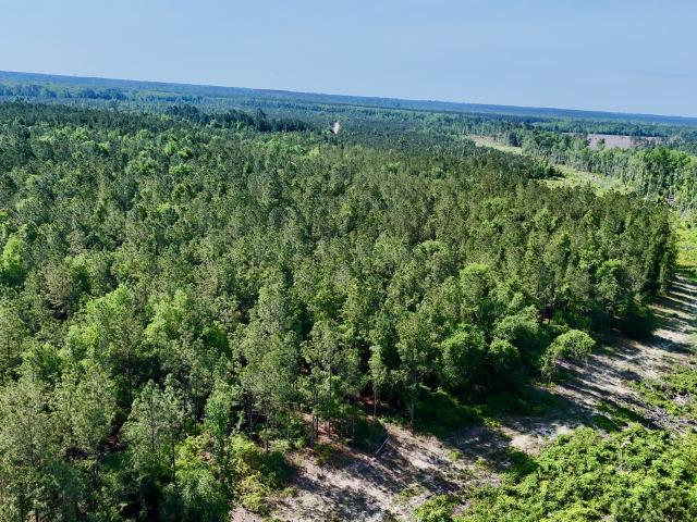 Land for sale in Lumber City, Georgia