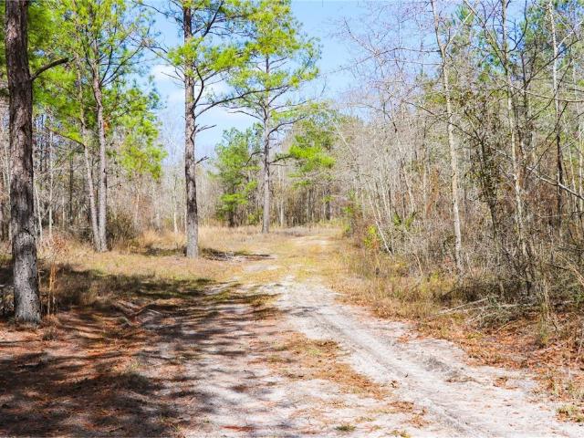 Land for sale in Evans, Georgia