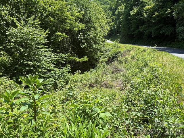 Land for sale in Bryson City, North Carolina