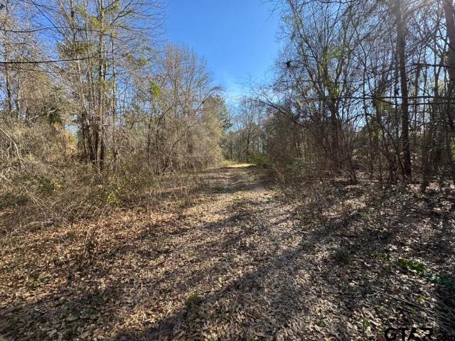 Land for sale in Smith, Texas