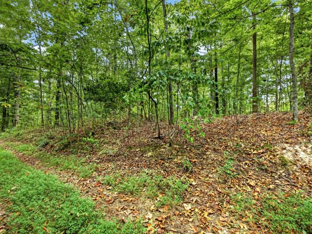 Land for sale in Celina, Middle Tennessee