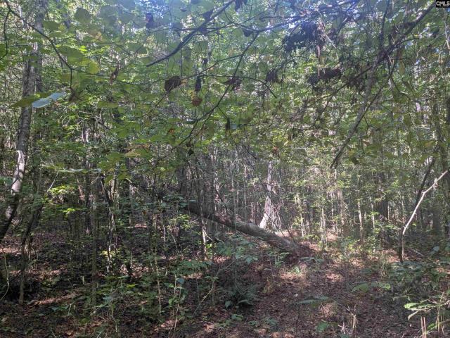 Land for sale in Winnsboro, South Carolina