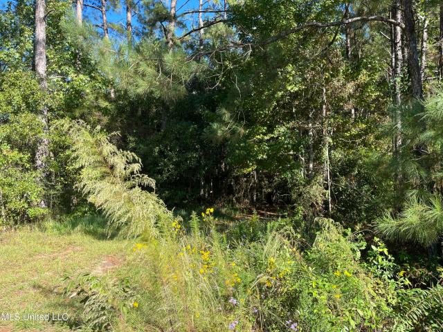 Land for sale in Picayune, Mississippi