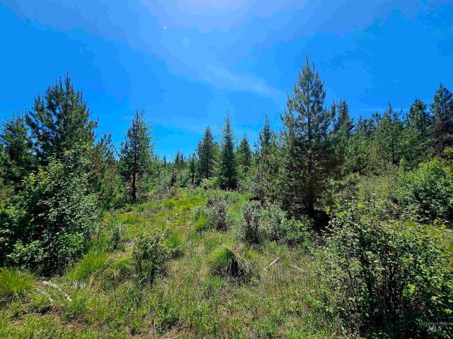 Land for sale in Weippe, Idaho