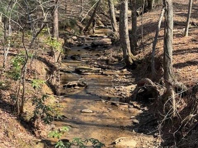 Land for sale in Gilmer, Georgia
