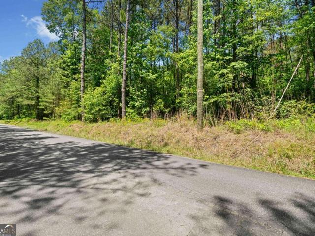 Land for sale in Bartow, Georgia