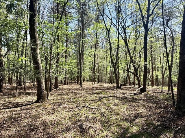 Land for sale in Tennessee