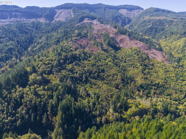 Land for sale in Oregonia