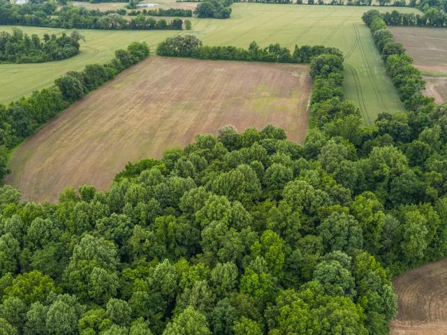 Farm for sale in Tennessee