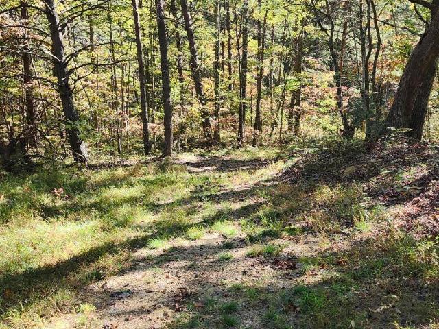 Land for sale in Tennessee