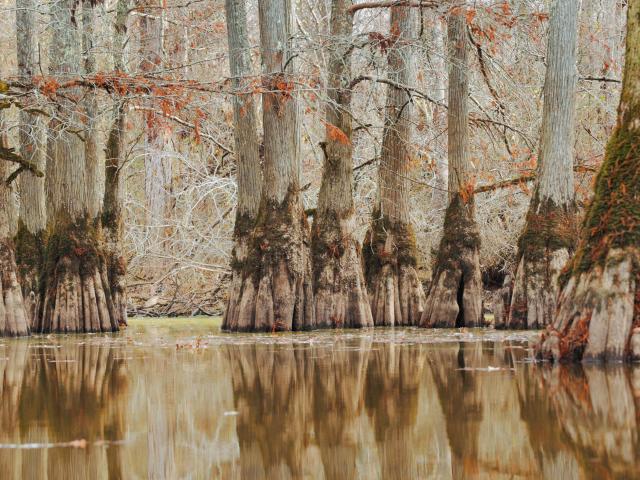 Land for sale in Tennessee