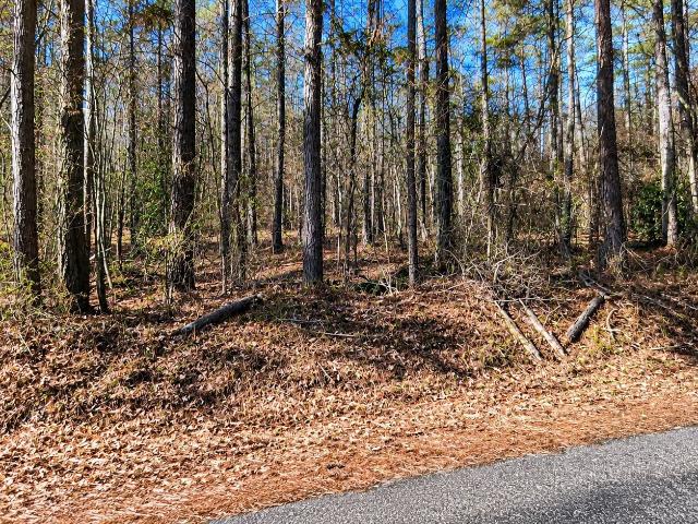 Land for sale in Rockmart, Haralson County