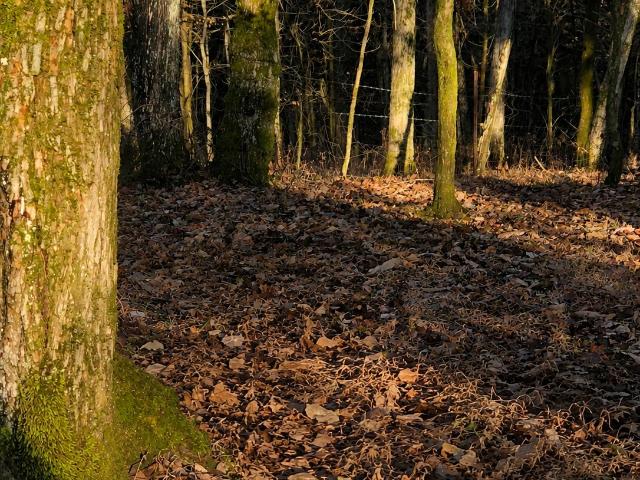 Farm for sale in Tennessee