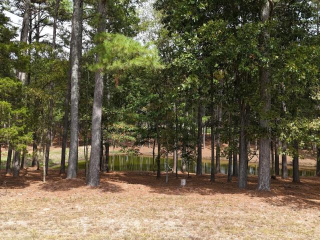 Land for sale in Santa Fe, Middle Tennessee