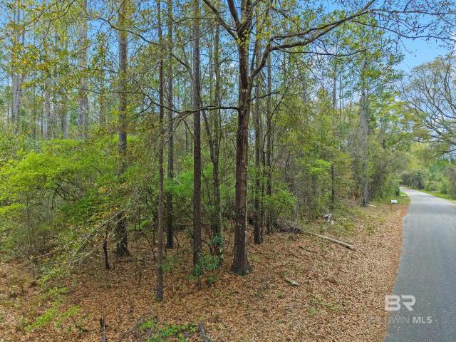 Land for sale in Flomaton, Alabama