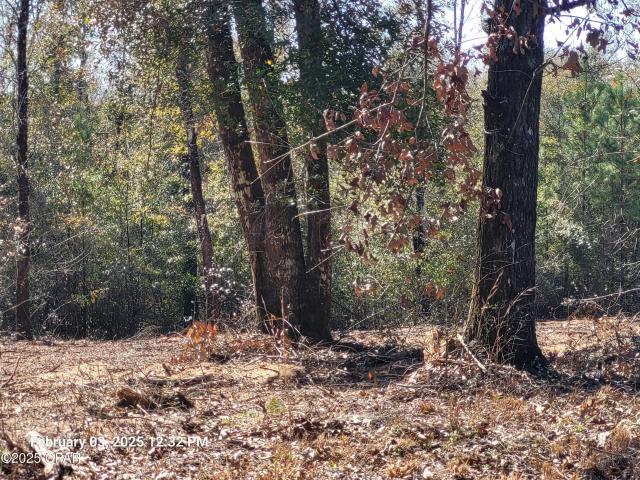 Property for sale in Altha, Florida