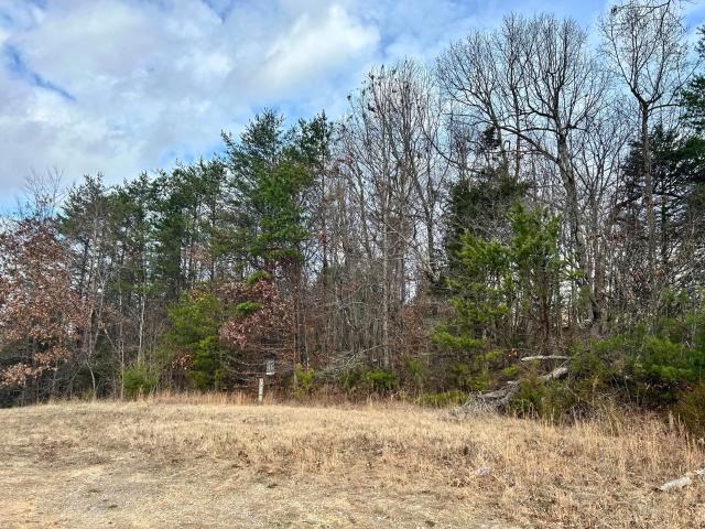 Land for sale in Tennessee