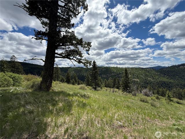 Land for sale in Washington