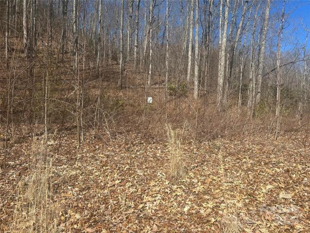 Property for sale in Bryson City, North Carolina