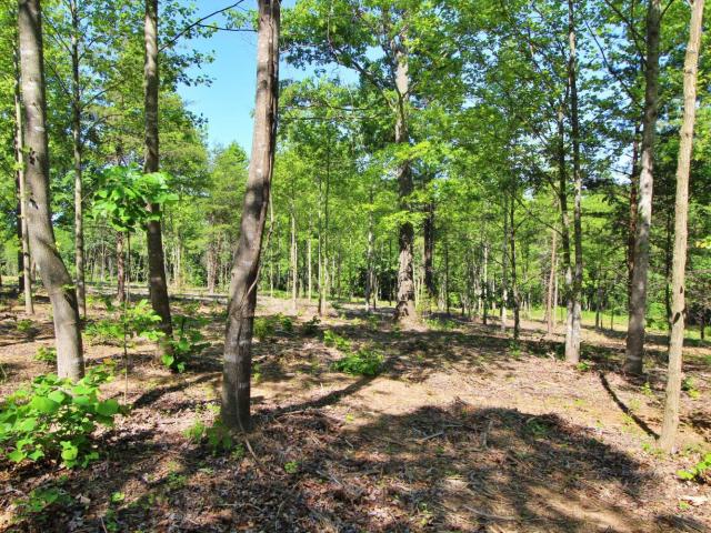 Land for sale in Virginia
