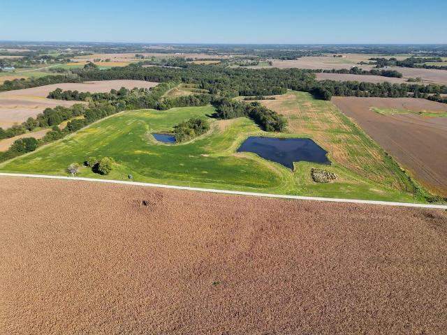 Land for sale in Arbela, Scotland County