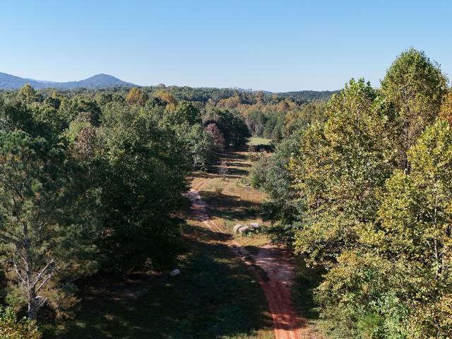 Land for sale in White, Bartow County