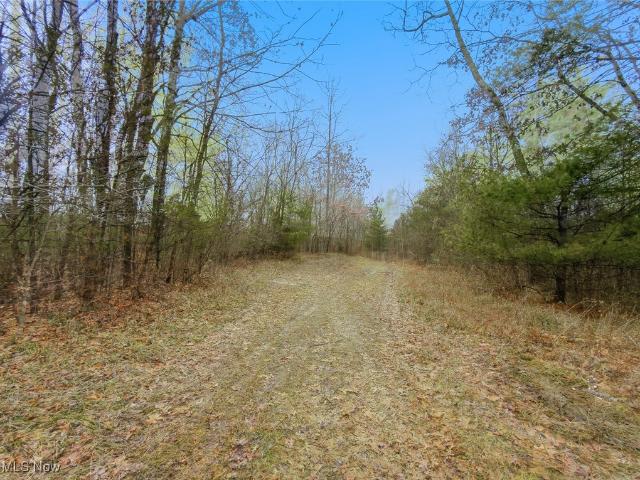 Land for sale in Corning, Ohio