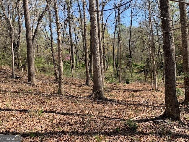 Land for sale in Cleveland, Georgia