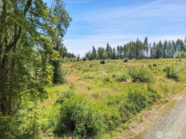 Land for sale in Shelton