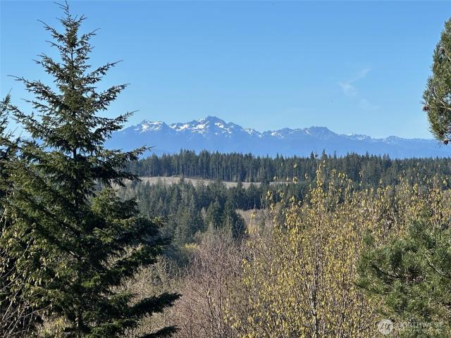 Land for sale in Shelton, Washington