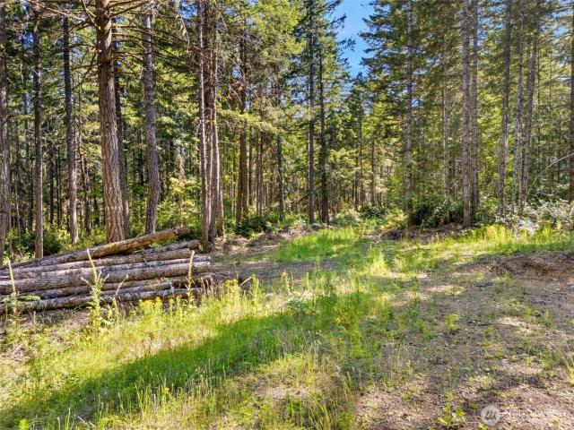 Land for sale in Grapeview