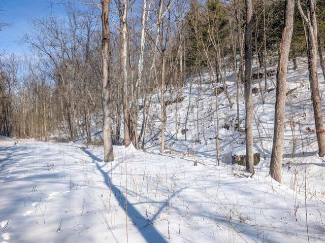 Land for sale in Belmont, Ohio