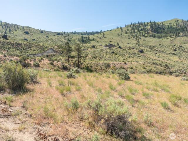 Land for sale in Orondo, Washington