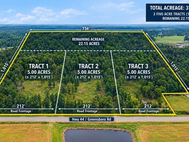 Land for sale in Eatonton, Putnam County