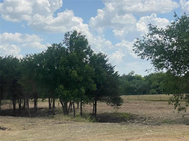 Land for sale in Navarro, Texas